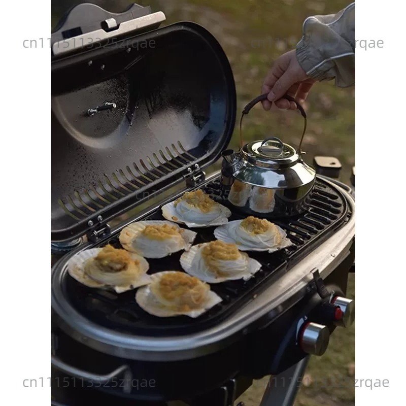 Réchaud de cuisson au gaz port - Camping Cooking Propane avis et prix